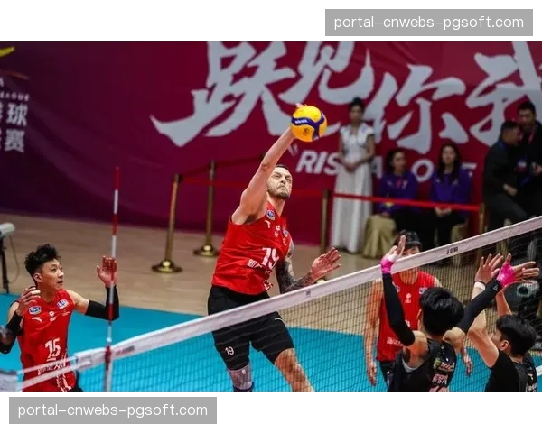 从常规赛冠军到季后赛挑战者,河北保定沃隶男排的冠军之路 从常规赛冠军到季后赛挑战者,河北保定沃隶男排的冠军之路